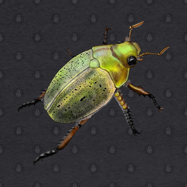 Iridescent green and gold beetle by ElementalEmbers